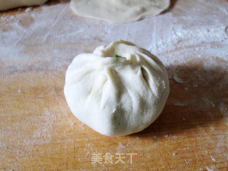 又是一年槐花香---槐花包子的做法步骤：14