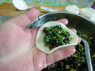 菠菜鸡蛋饺子的做法步骤：13