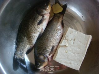 鲫鱼豆腐汤的做法步骤：1