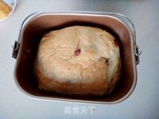 葡萄干养生面包的做法步骤：6