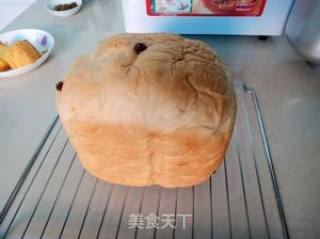 葡萄干养生面包的做法步骤：7
