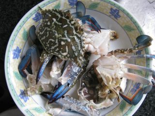 麻辣水煮海鲜锅的做法步骤：3