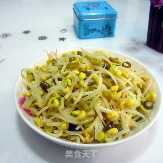 酸辣黄豆芽的做法步骤：8