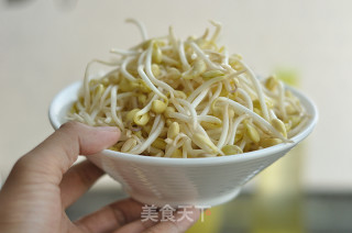 干煸黄豆芽的做法步骤：2