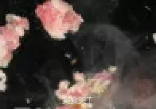 大酱汤的做法步骤：11