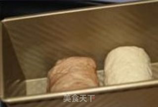 卡仕达酱吐司的做法步骤：6