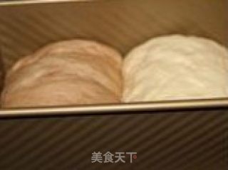 卡仕达酱吐司的做法步骤：7
