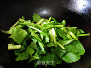 火腿炒白菜苔的做法步骤：5