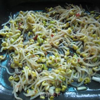 豆瓣酱炒豆芽菜的做法步骤：5