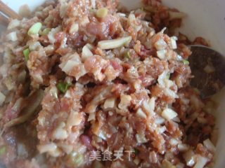 猪肉萝卜干馅大包子的做法步骤：5