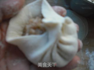 猪肉萝卜干馅大包子的做法步骤：10