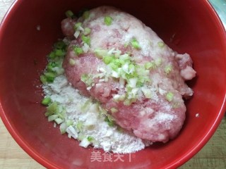 香香小肉饼的做法步骤：2
