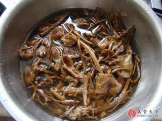 干锅茶树菇的做法步骤：1