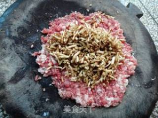 野菜与肉的完美结合——鱼腥草肉丸的做法步骤：3