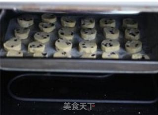 自然馈赠无添加的酸甜好滋味——蓝莓饼干的做法步骤：7