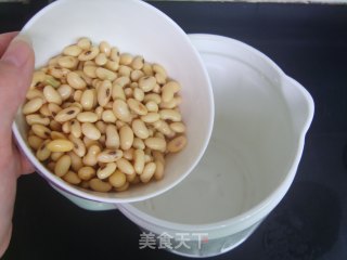 【营养豆奶】——燕麦豆奶的做法步骤：2