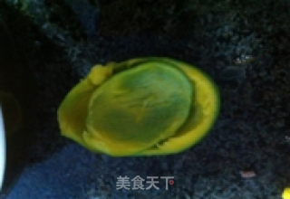 夏日芒果汁的做法步骤：3