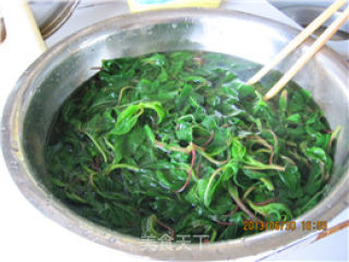 蒜末清炒野苋菜的做法步骤：4