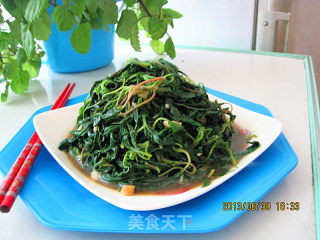 蒜末清炒野苋菜的做法步骤：12