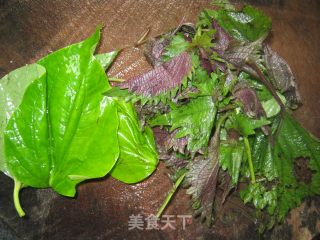 砂锅香辣田螺鸭脚、鸭翅的做法步骤：8