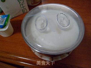 自制酸奶的做法步骤：4
