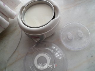 自制酸奶的做法步骤：6