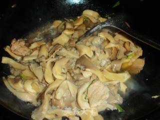 鲜蘑炒肉片的做法步骤：13
