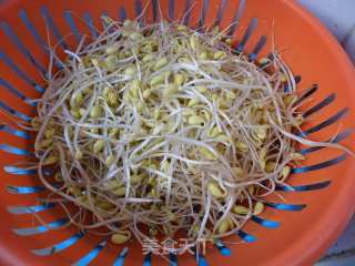 猪腩炒黄豆芽的做法步骤：1