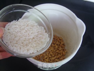 【营养米汁】——核桃燕麦米汁的做法步骤：3