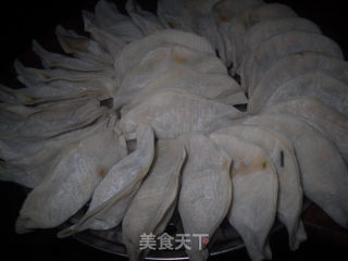 韭菜红萝卜煎饺的做法步骤：6
