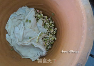 自己在家发豆芽的做法步骤：8
