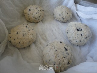 煎黑豆渣发糕的做法步骤：2
