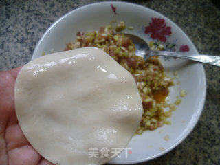 韭菜芽猪肉馅锅贴的做法步骤：9