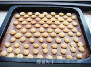 酥脆蛋香小饼干的做法步骤：9