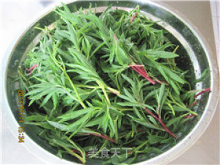 凉拌扫帚菜的做法步骤：1