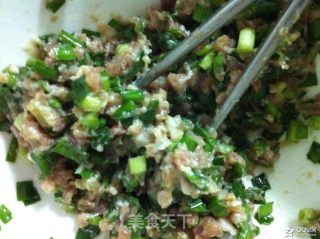 韭菜猪肉馅饺子的做法步骤：5