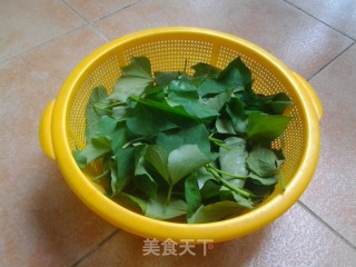 蒜蓉炒番薯叶的做法步骤：2