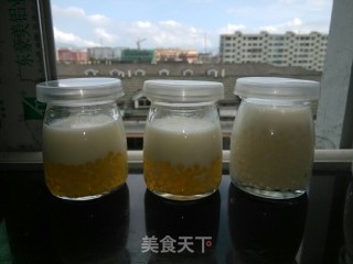 西米布丁的做法步骤：4