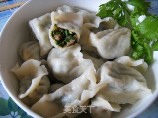 韭菜馅水饺的做法步骤：18