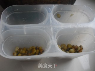 绿豆冰棍的做法步骤：5