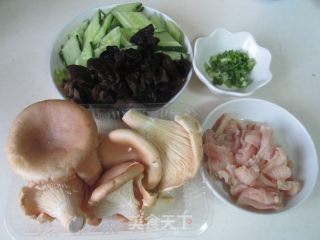 猪肚菇炒鸡片的做法步骤：1