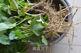 鱼腥草炒肝丝的做法步骤：1