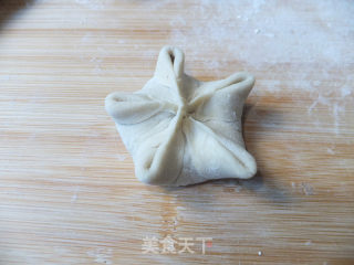 绿豆面蒸饺的做法步骤：9
