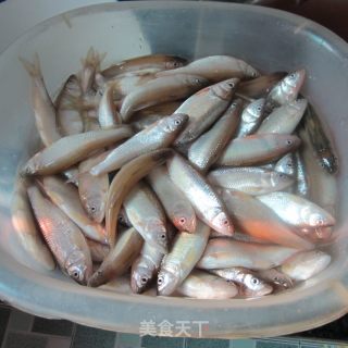 香芹辣椒粉烧鱼的做法步骤：1