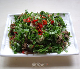 鲜椒香菜毛肚的做法步骤：9