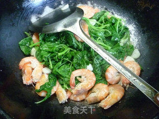 鲜虾炒白米苋的做法步骤：11