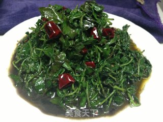 干炝枸杞芽的做法步骤：4