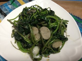蒜香红薯叶的做法步骤：4