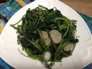 蒜香红薯叶的做法步骤：5