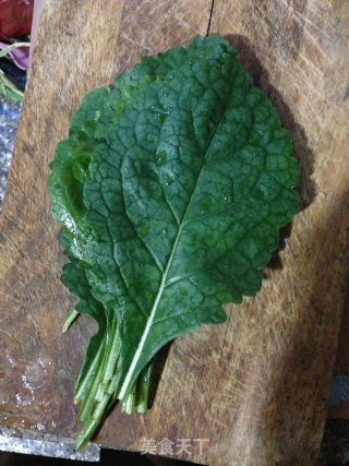 品自家野菜——铁芥菜煎蛋汤的做法步骤：1